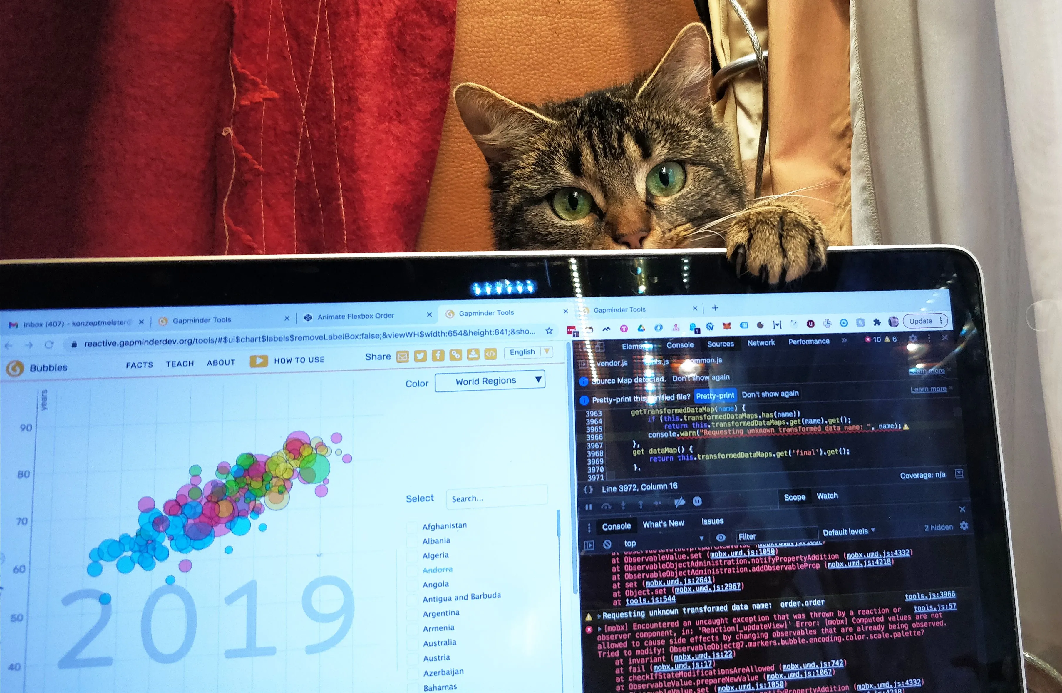 Cat hiding behind a screen that shows data graphics and developer tools
